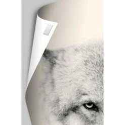 Trends International Disney Pixar Turning Red - 4-Town Tween Beat Unframed Wall Poster Prints -Kiddo Land Store GUEST 56d31d4e 82a0 4384 abb9 92c9c4c39526