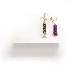 24" Floating Shelf With Lip For Kids' Room White - InPlace -Kiddo Land Store GUEST bf63d7c6 def8 4c76 b80f dbc202516bf4